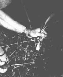 8904modb.jpg (15979 bytes)