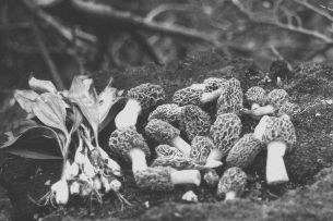 8904modc.jpg (17401 bytes)