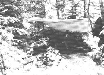 9003lsmb.jpg (19047 bytes)