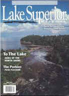 9506lsm.jpg (8349 bytes)